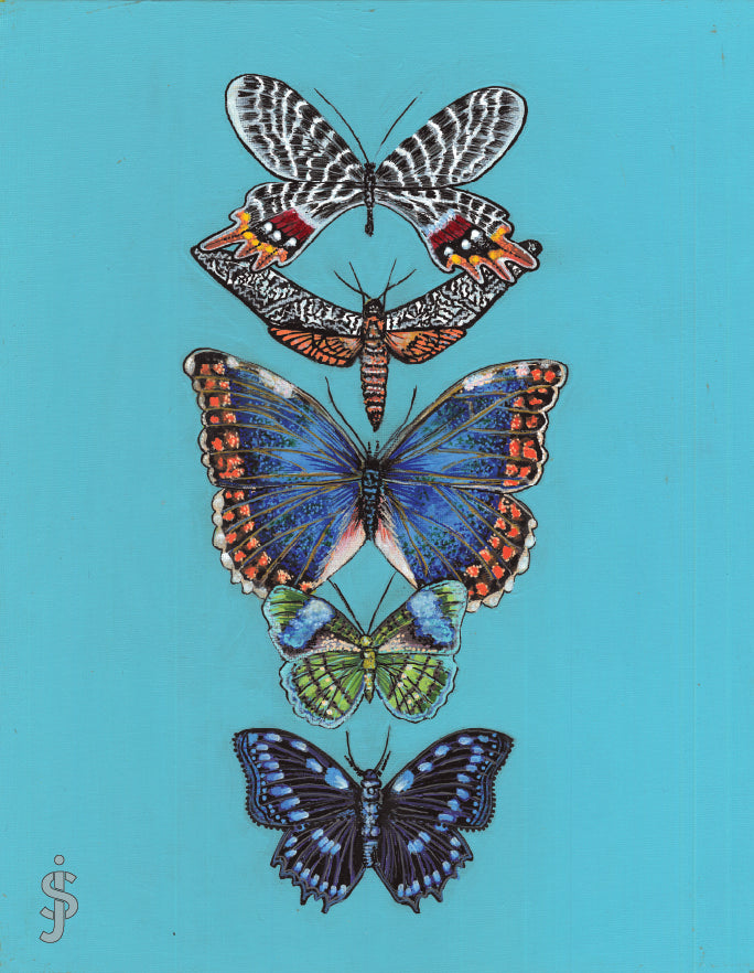 Four colorful butterflies stacked on a teal background