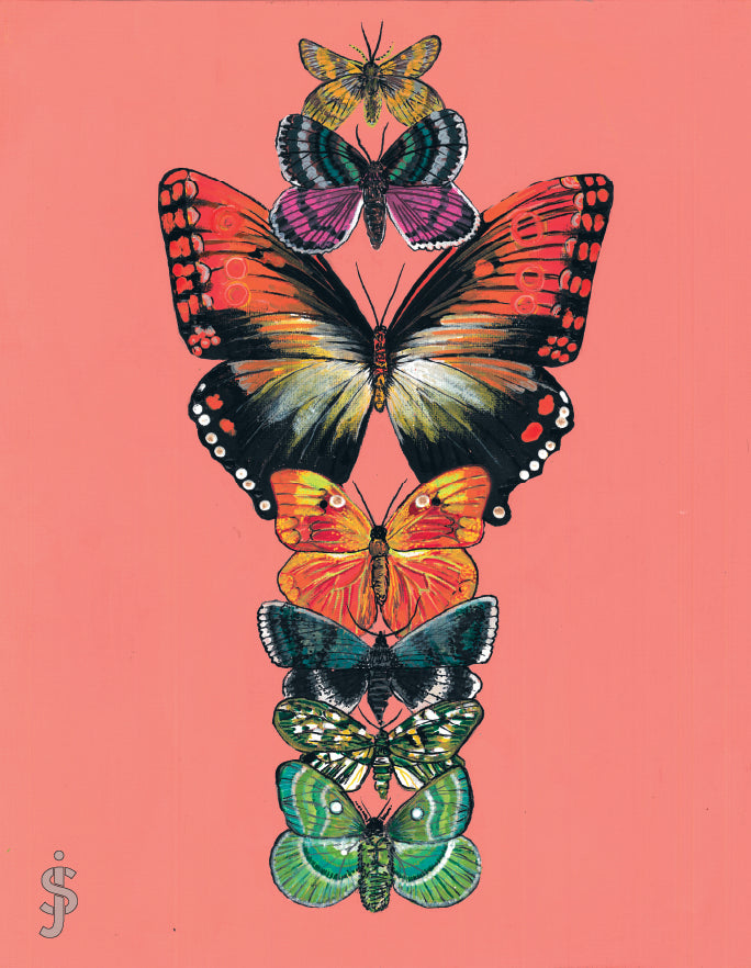 Colorful butterflies stacked on a pink background