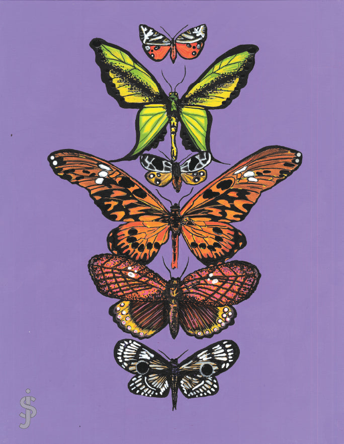 Colorful butterflies on a purple background