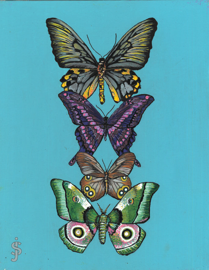 Four colorful butterflies on a teal background