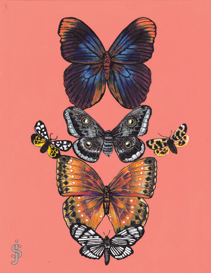 Colorful butterflies on a pink background