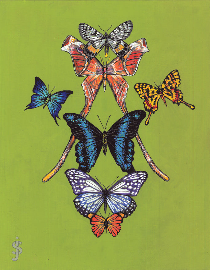 Colorful butterfly illustration on a green background